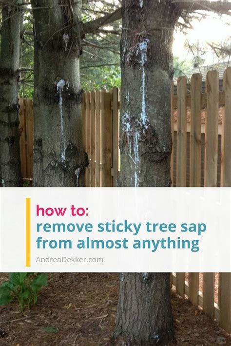How To Remove Tree Sap From Tools