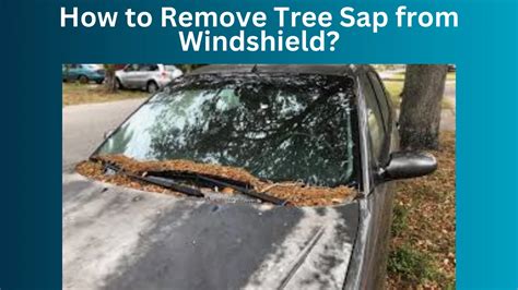 How To Remove Tree Sap Off Windshield