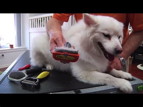 How To Remove Undercoat