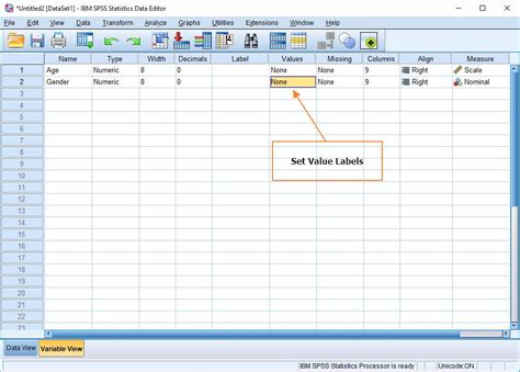 How To Remove Value Labels In Spss