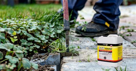 How To Remove Weeds Block Paving