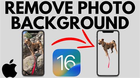 how to remove white background from image ios