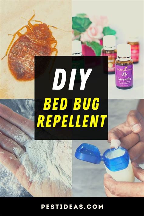How To Repel Bugs While Sleeping