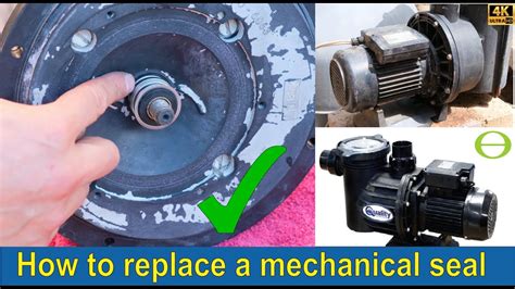 How To Replace A Mechanical Seal On A Pool Pump