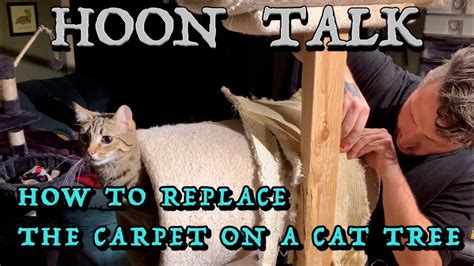 How To Replace Carpet On Cat Tree