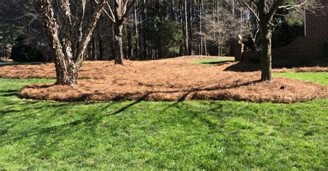 How To Replace Pine Straw With Mulch