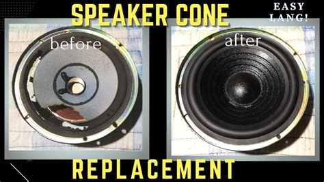 How To Replace Speaker Cone
