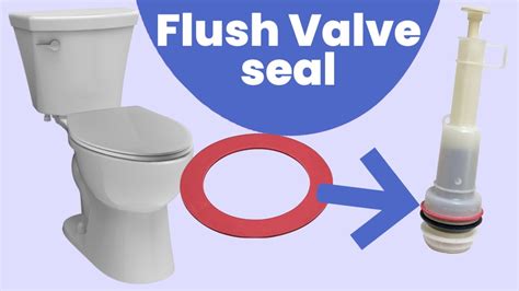 How To Replace Toilet Flush Seal