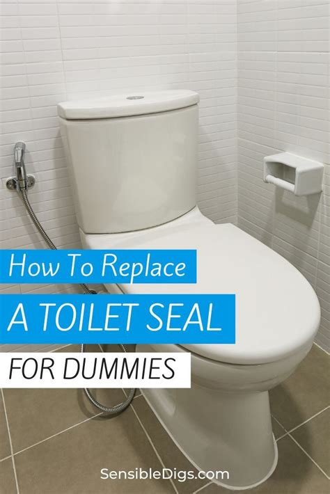How To Replace Toilet Seal