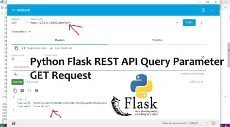 how to request api in python