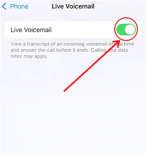 how to reset voicemail notification on iphone