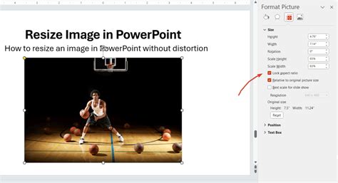 how to resize an image without distorting it