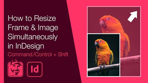 How To Resize Image In Frame Indesign