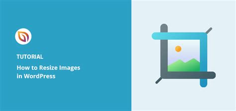 how to resize text in wordpress