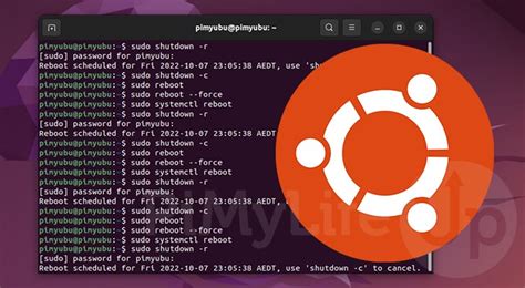 how to restart in linux terminal