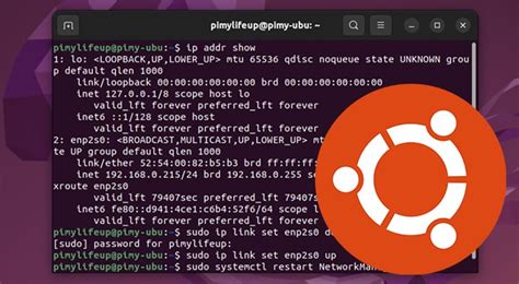 how to restart network in linux terminal
