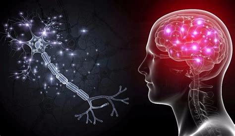 how to restore brain cells