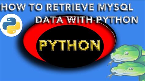 how to retrieve data in python