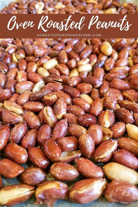 How To Roast Peanuts Without Shell In Oven
