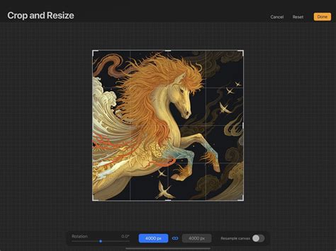 how to rotate whole canvas in procreate