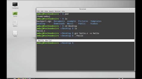 how to run a program in linux mint