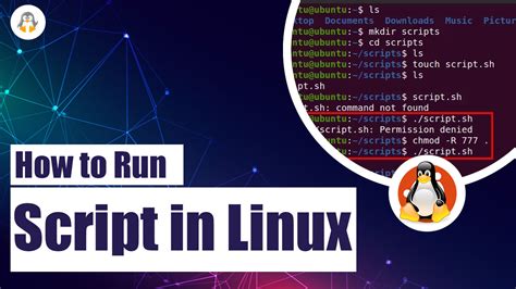 how to run a script in linux