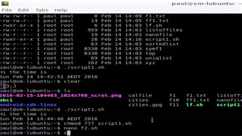 how to run a script in linux mint