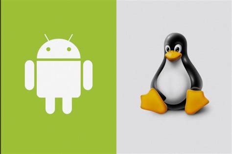  62 Free How To Run Android Apps On Linux Without Emulator Best Apps 2023