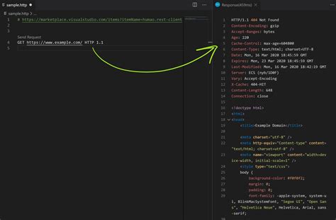 how to run api in visual studio code