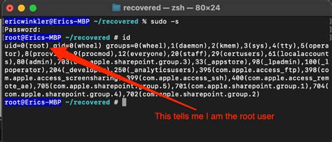 how to run as root in terminal mac
