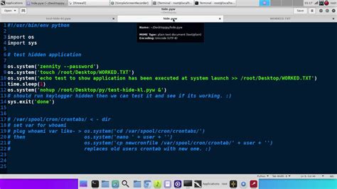 how to run bash command in python script
