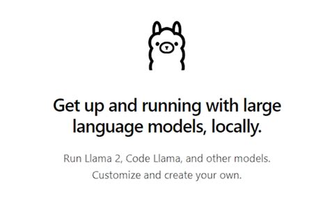 how to run code llama locally