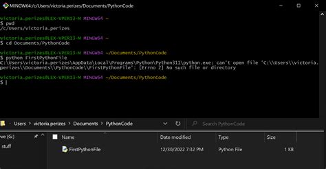 how to run git bash commands in python