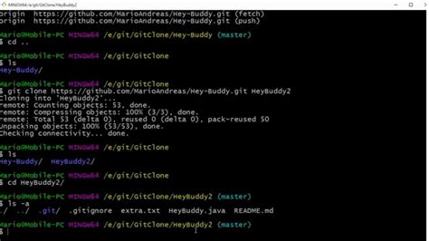 how to run git clone in python