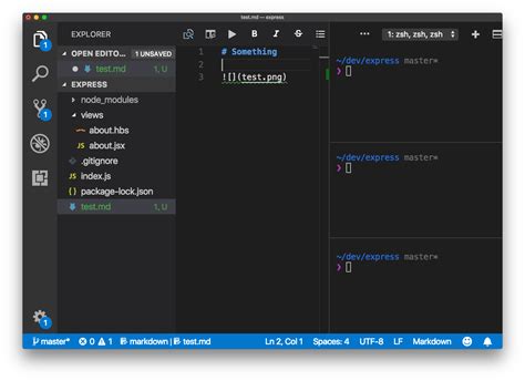 how to run git in vs code terminal