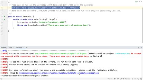 how to run intellij from terminal linux