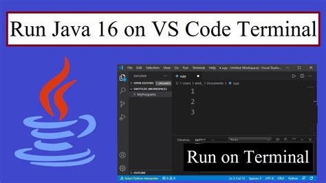 how to run java code on vscode mac