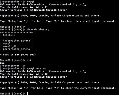 how to run mysql as root