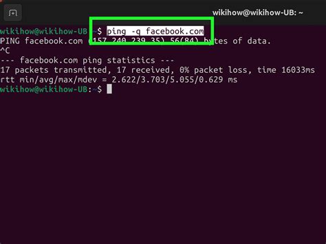 how to run ping command in linux