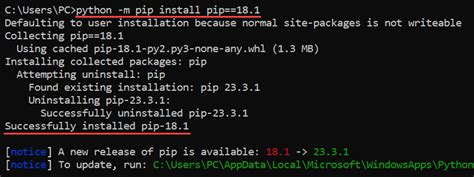 how to run pip command in python script