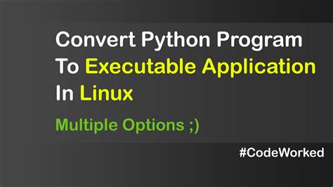 how to run python executable in linux