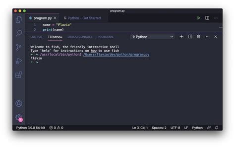 how to run python file in vscode using terminal