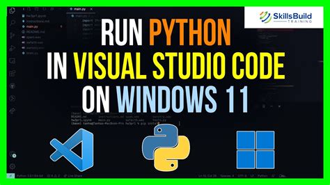 how to run python in visual studio code windows