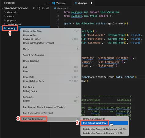how to run python script in databricks