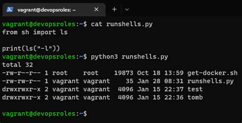 how to run shell command in python script