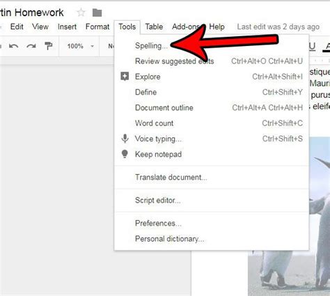 how to run spell check in google docs