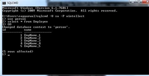 how to run sql command in cmd
