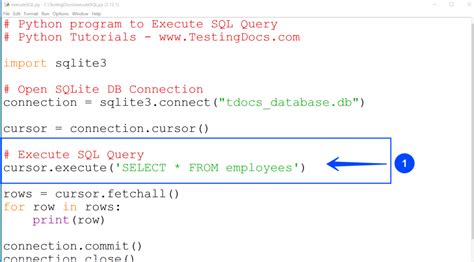 how to run sql query in python script