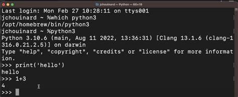 how to run terminal command in python code