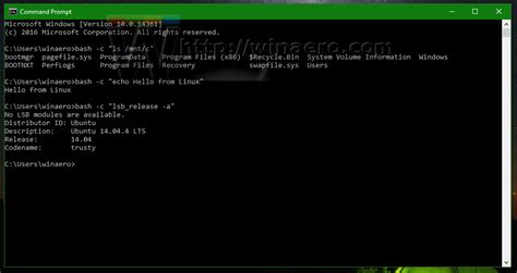 how to run windows executable on linux
